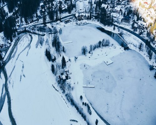 Winter Grand Championship Tournament - Aurora Loculus